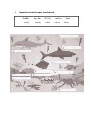 English Worksheet: Sea Animals
