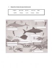 English worksheet: Sea Animals