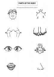 English Worksheet: Parts of the Body