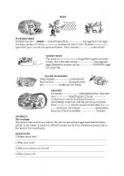 The comparative and the superlative