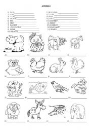 English Worksheet: Animals