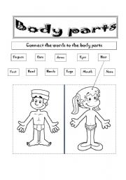English Worksheet: BODY PARTS