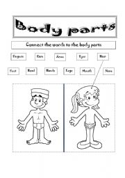 BODY PARTS