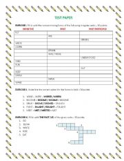 English worksheet: IRREGULAR VERBS