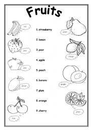 English Worksheet: Fruits- match and color