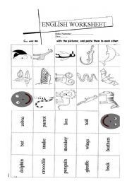English Worksheet: worksheet about animals