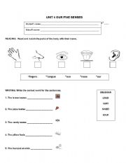 English worksheet: The Five Senses