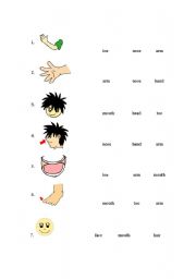 English Worksheet: body parts