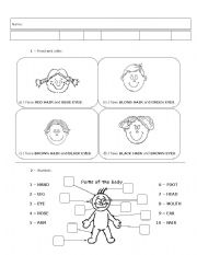 English Worksheet: Exercises