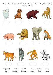 Animals Quiz