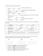 English Worksheet: Science