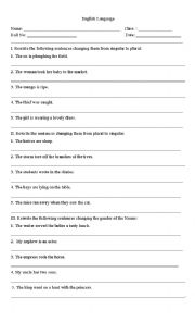 English Worksheet: Nouns & Personal Pronouns