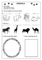 English Worksheet: ANIMALS