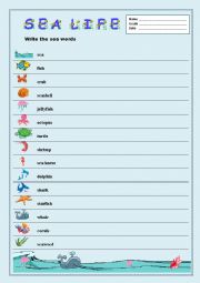 English Worksheet: Sea Life/Spelling