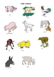 Farm Animals