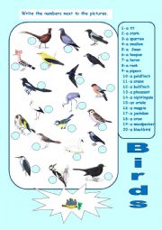 English Worksheet: Birds from the Forest