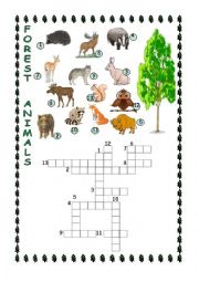 English Worksheet: Forest Animals