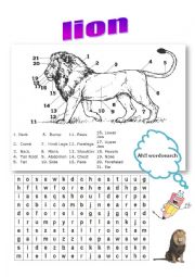 English Worksheet: parts of lions body