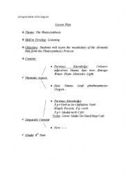 English Worksheet: Photosynthesis - Listening Skill