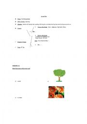 English Worksheet: Speaking Lesson . Theme; The photosynthesis