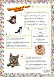 English Worksheet: Poetry: the naming of the cats by T.S. Eliot