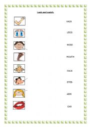 English Worksheet: Parts of the face and body