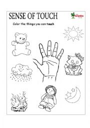 English Worksheet: Sense of Touch and Smell