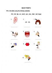 English Worksheet: Body parts