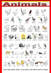 ANIMALS-