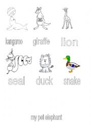 English Worksheet: Zoo Animal Mix-Match