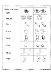 English Worksheet: Singular or Plural