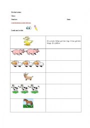 English Worksheet: animals