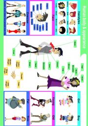 Human body parts & appearance