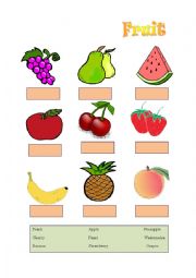 English Worksheet: fruit