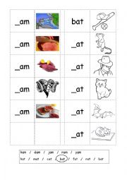 English Worksheet: Phonics - 3 letter words (CVC) - Writing -AM / -AT