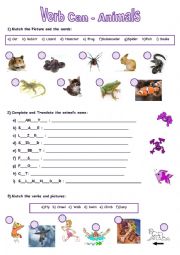 English Worksheet: Verb Can - Animals