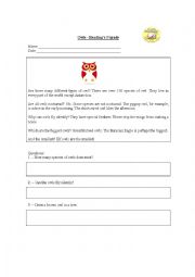 English Worksheet: Reading Animals, Owls