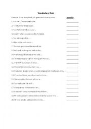 English Worksheet: Vocabulary Quiz 