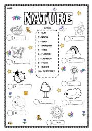 English Worksheet: Nature