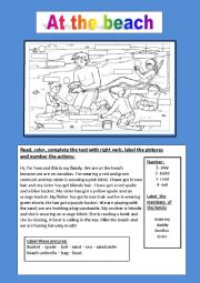 English Worksheet: at the beach