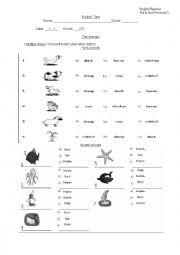 English Worksheet: animal test