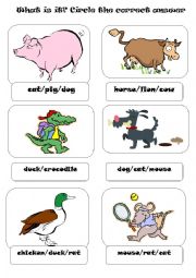 English Worksheet: ANIMALS