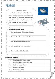 English Worksheet: The White Shark