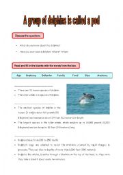 English Worksheet: A group of dolphins is called a pod