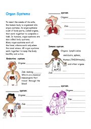 human body systems for kids worksheets