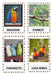 English Worksheet: BIRDS PART-I DOC.