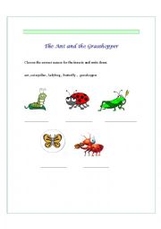 English Worksheet: The Ant and the Grasshopper video activity