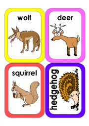 English Worksheet: Wild Animals Flash Cards #4
