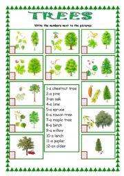 English Worksheet: Trees