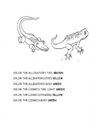 alligator coloring